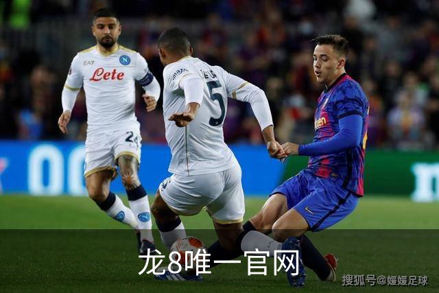 龙8唯一官网公司简介
